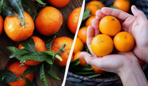 Как кислые мандарины за 15 минут превратить в сладость: полезные советы