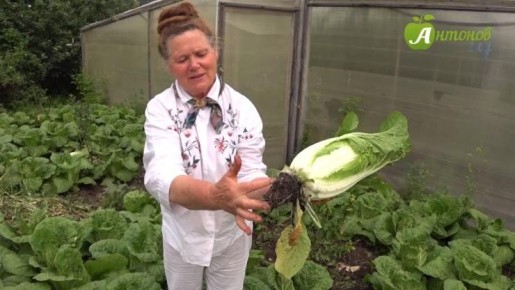 ��� �������� �������� ��������� ������� � �������� �������� ������