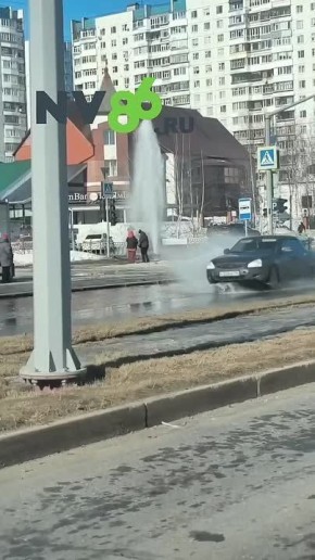 �������� ��������. - �������� ���������� NV86