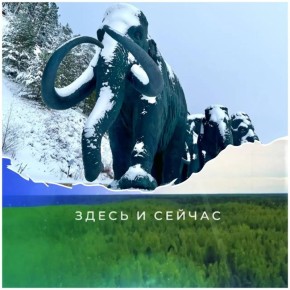 ����� ���� ����������� ������?