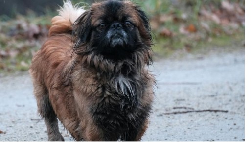 Неправомерный штраф: как судебная система ошиблась из-за свидетельских показаний