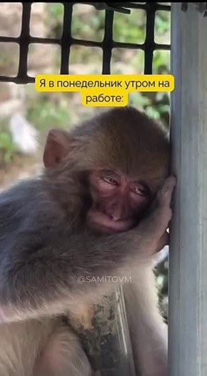 �������� ������� ������ � ����� �� ������