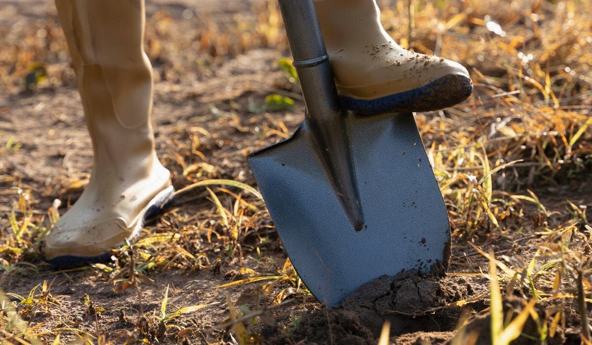 Как быстро вскопать землю: 5 альтернатив лопате для вашего огорода