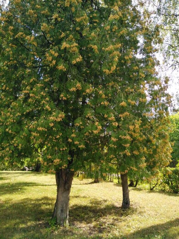 ��� � 2026 ���� ���������� ������������� � ������� � ������������ ���������: �������� �����������