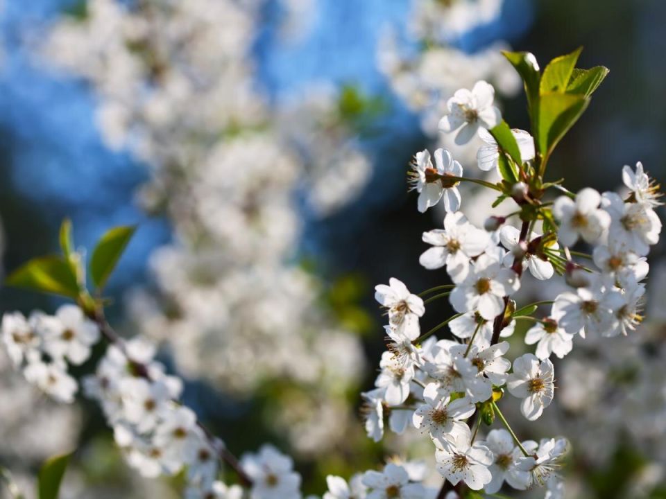 ��� ��� ������ ������ ���������� � �������� ����� � �����