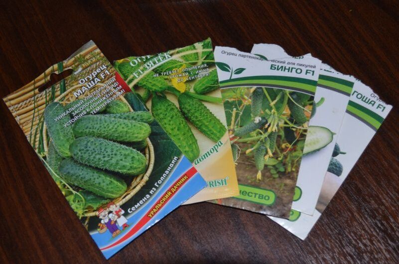 ������ ��������� ��� ������ �������: ������ ����� � ������� �������