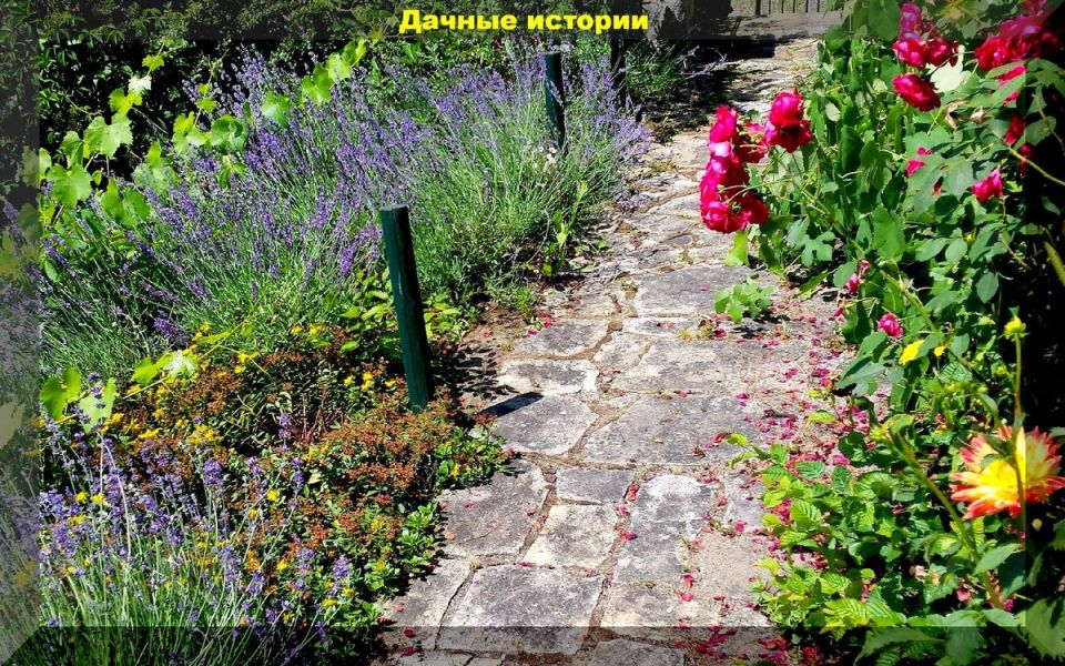 �������: �� ������� �� ����� �� ���������