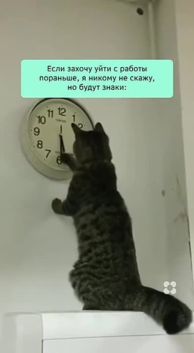 ��������� ������� ������ ������� ����� �� ������