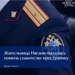 ���������� ������ �������� ������ ��������-�����������