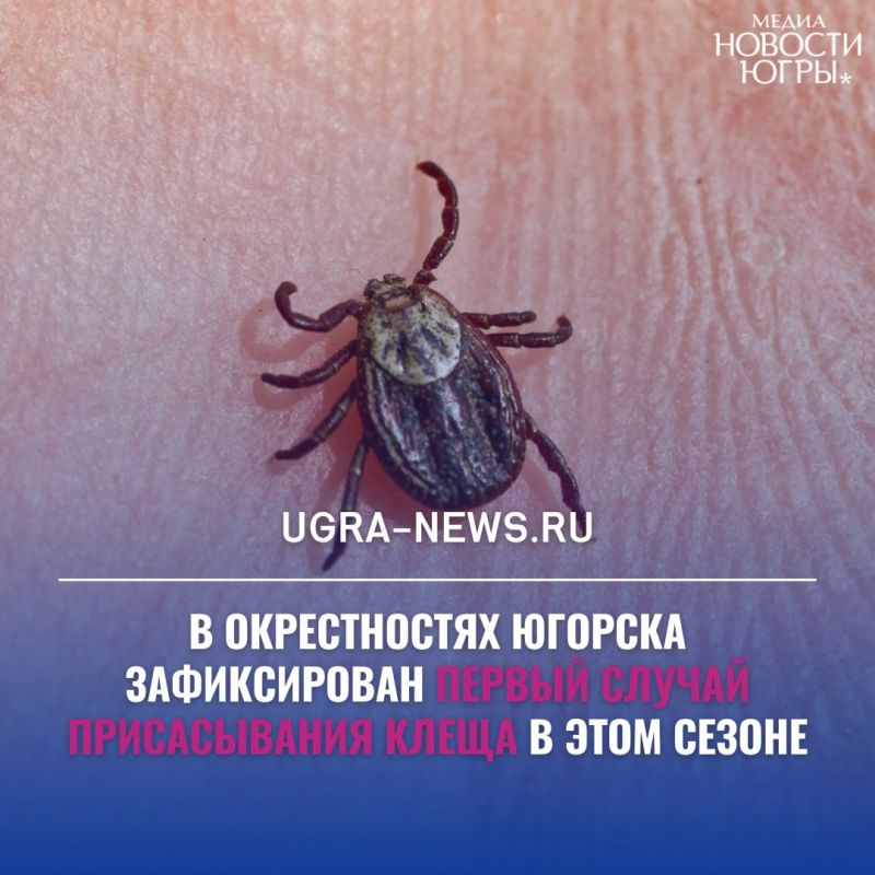 ������ ���� ������ ������� � ����, ��� ������������� ��������� ����� �� �������� � 2026 ����