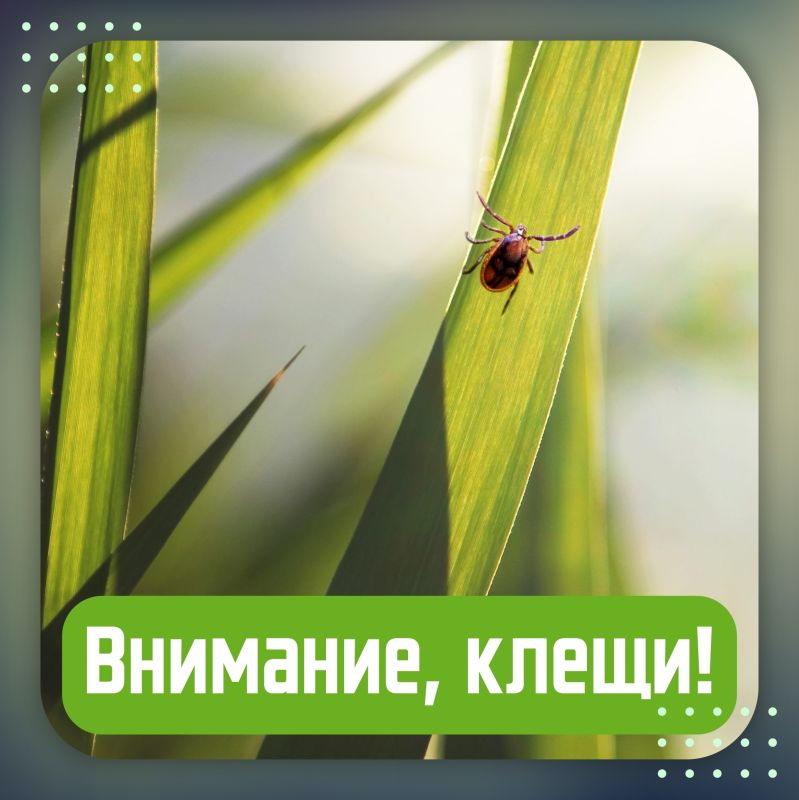 ����� ���������� ������ ��� �������: �� �������� � ������������