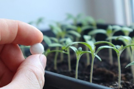 �������� �������: ������� �������� ��� �������� ���������