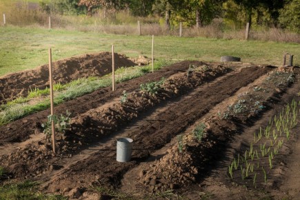 ��� ������� ����� � �������� ����� ����� ���������