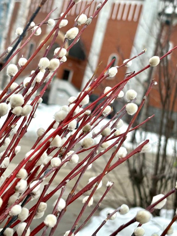 �������, 5 ������, �� ������ �� �����, ���������� ���� �� ��������� ���������� - ������� �����������, ��� ���� ��������� � ���������