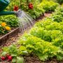 Капельный или ручной полив: что выбрать для вашего сада?