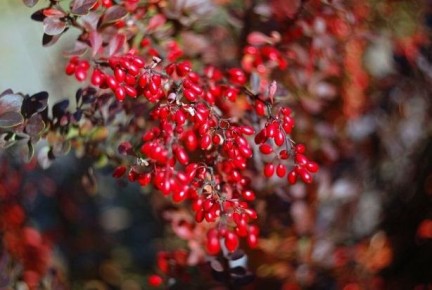 ����� ������� ������� �������� ����� ��������� ������ ����