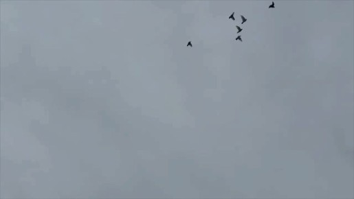 7 ������ ������������ ������� ��������� ������������ ��������� ����������