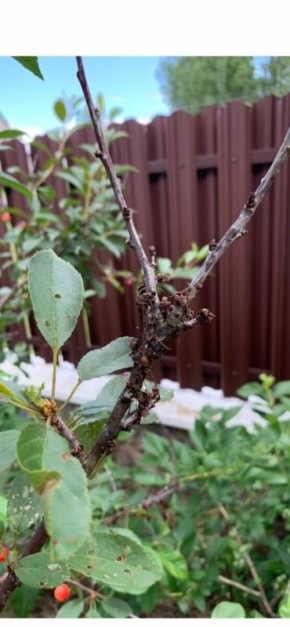 ��� ���������� � �����: ������ �� ������ � ����������