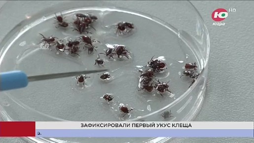 ����� � ���� ���������� ������ ��������