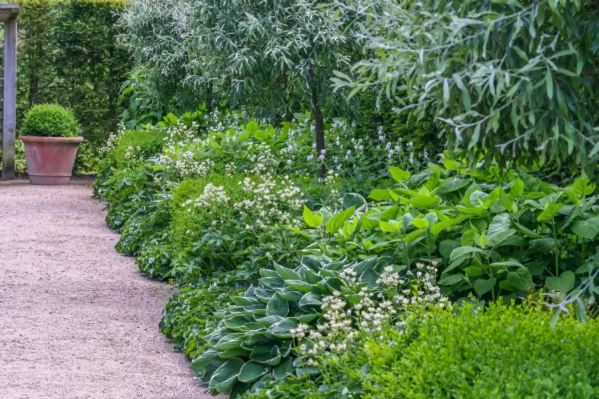Сад как искусство: погружаемся в атмосферу шедевра Джереми Аллена