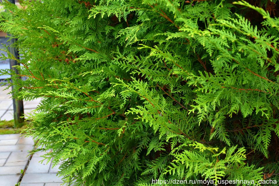 ������������ ���� �� ����� ����� ����� �����