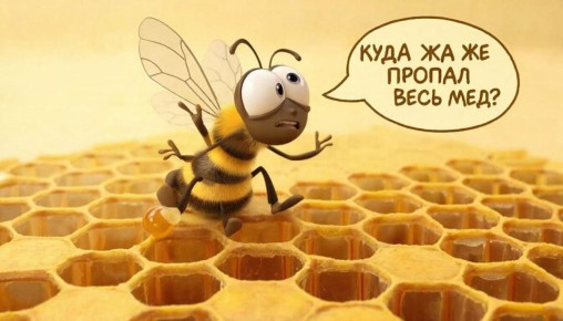 Февраль 2026: угроза дефицита меда в российских магазинах