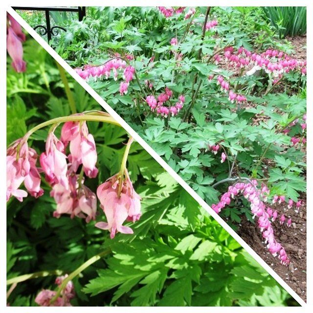 ��������: �������� ������ � ������ ����������� � ����� ����