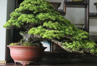 ��������� �������� ������: ��� ����� ���������� ����� ����������