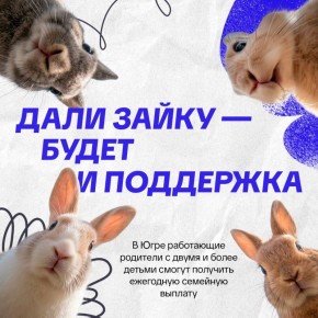 ���� ������������ ���������� ���������