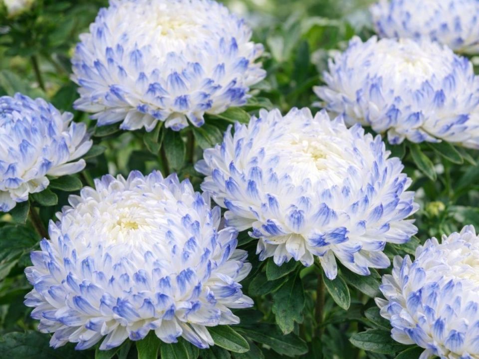 ����� ������: ����������������� ����������