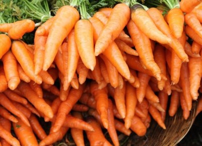 Сохранение урожая моркови: секреты и рекомендации для эффективного хранения