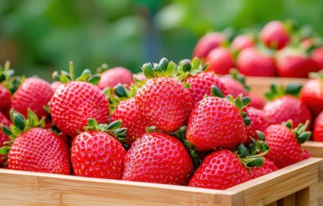 ��������: ������� ����������� � ������� ��� ��������