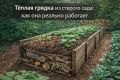 Тёплая грядка: как использовать древесину с пользой для вашего сада