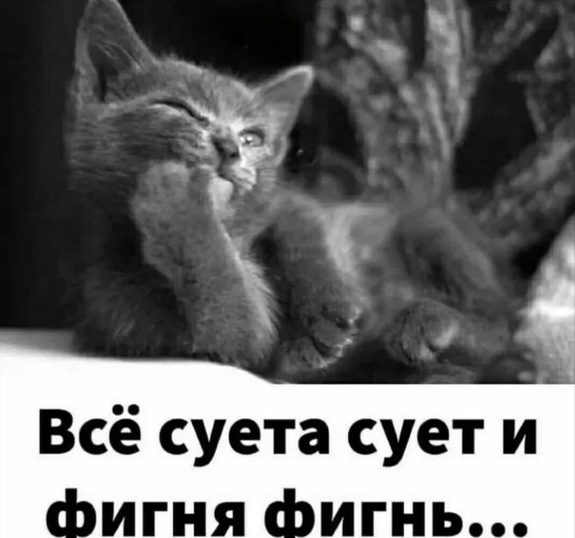 ������� ���������: ��� ��������� ������ ����� �� ����