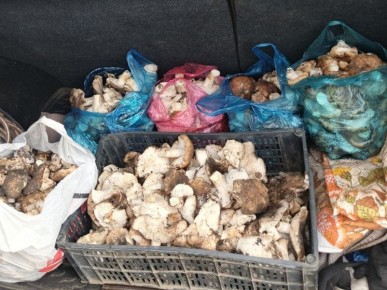 ������� ������: ������ ����� ������ � ��������� ������ ������� ���������