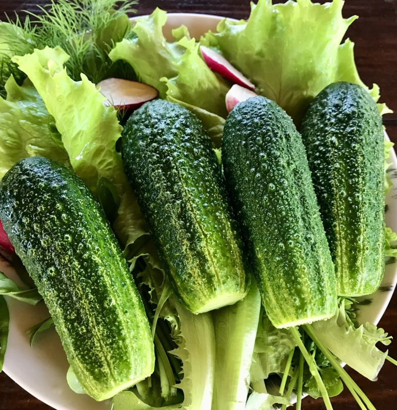 ������, ������� ������������� � �������: �������� � �������� -4 �� �����