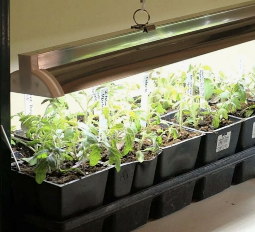 ���� ��� �������: ��� ��������� ������������ ��������� ��� �������� ��������