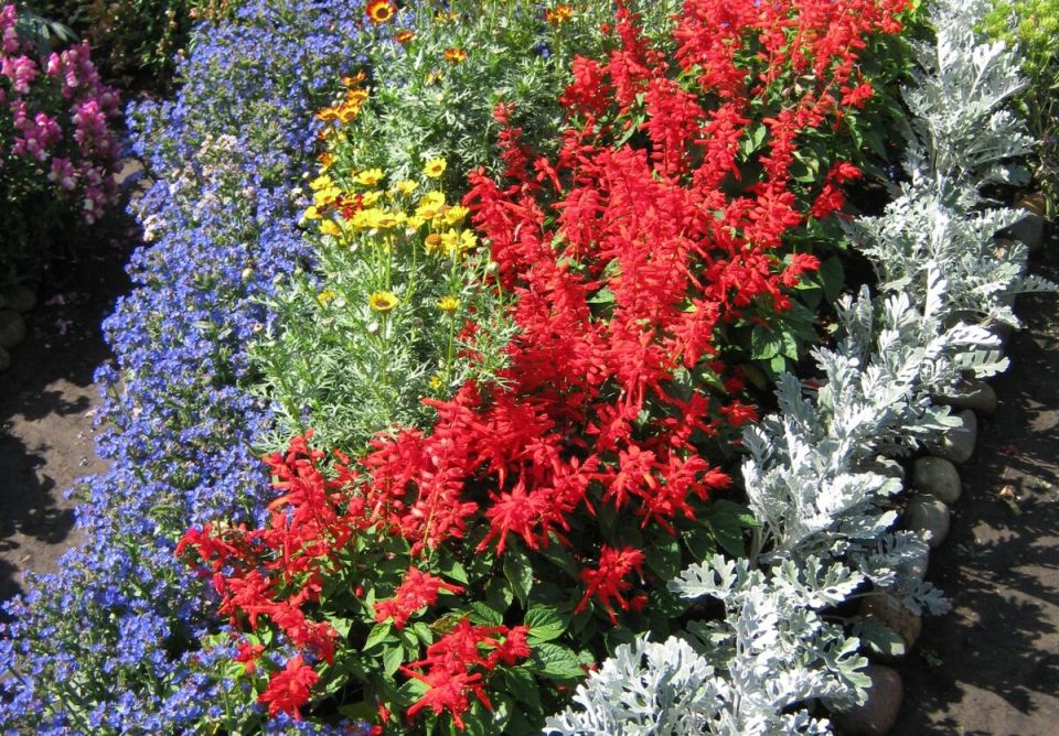 ��� ������� ��������� ����� ������: ������� ������