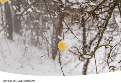 ���� �� �������� ��������� �����: ������ ���� � �� ������