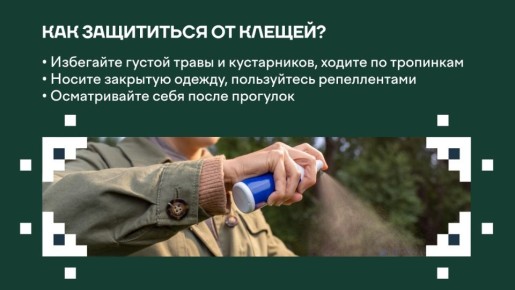 ��������: ����� ���������� ������ ������� � ����