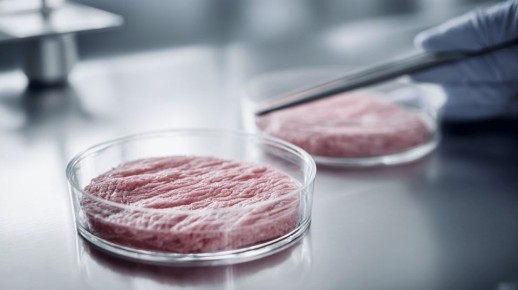 ���� ��� �������� ��������: ����� ���� ��� ����������������� ����