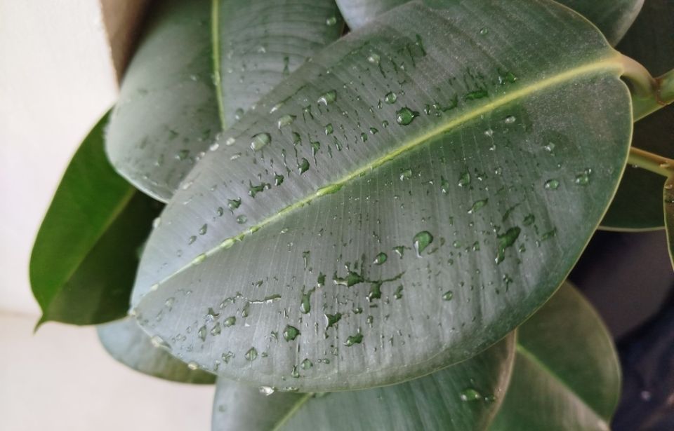 10 ������������� ������� ��������� ��������� ������� ��� ��������� ��������