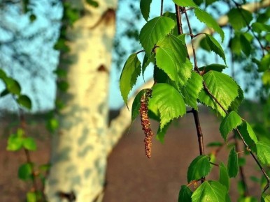 ������: ������� �������� ����� ��� ������� ���� ������?