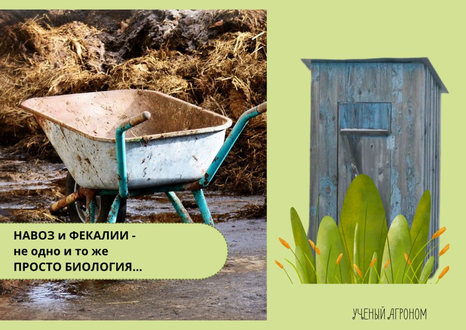 ������ ����� � ������ ����� ��� ����, � ������� ������� �������� ��������