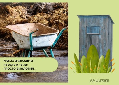 Почему навоз — лучший выбор для сада, а фекалии следует обходить стороной
