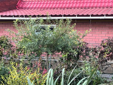 �������� ������������: ��� ��������� ����������� ��� � 2026 ����