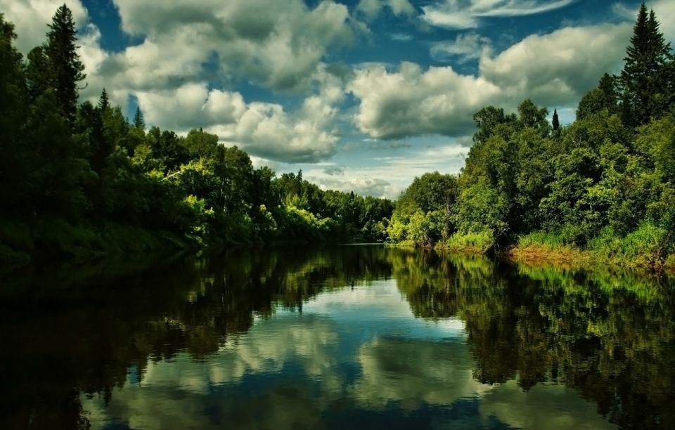 �� ������ ������� � �������, �� ������� �� ��������