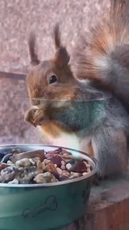 ������� ���������� ������� �������� � ������������ �����!