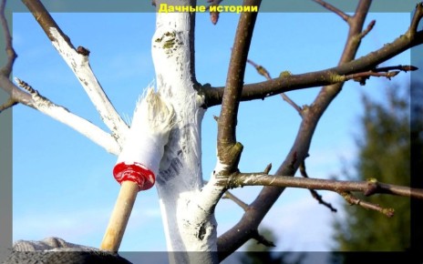 ���������� ���� ������ � �������: �������� ���� ��� ����� �� �����