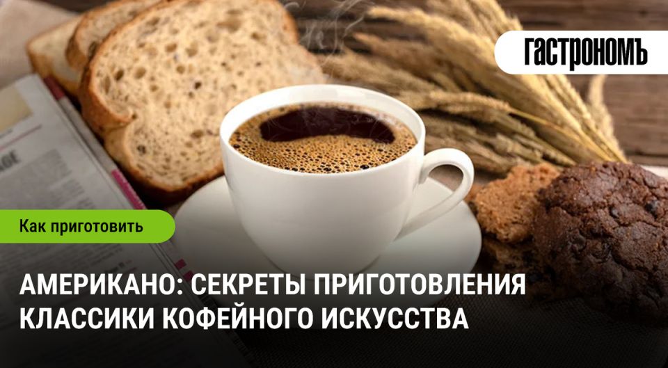 ���������: ������������ �������� ������������� ����